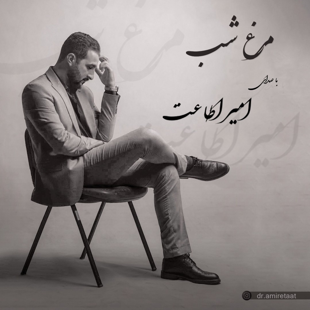 تصویر کاور آهنگ مرغ شب با صدای امیر اطاعت