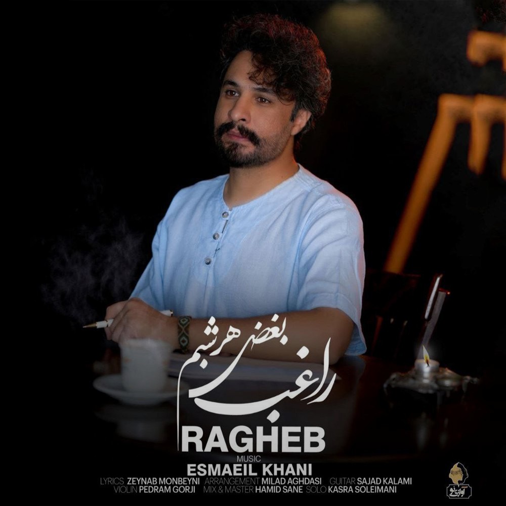 تصویر کاور آهنگ بغض هر شبم با صدای راغب