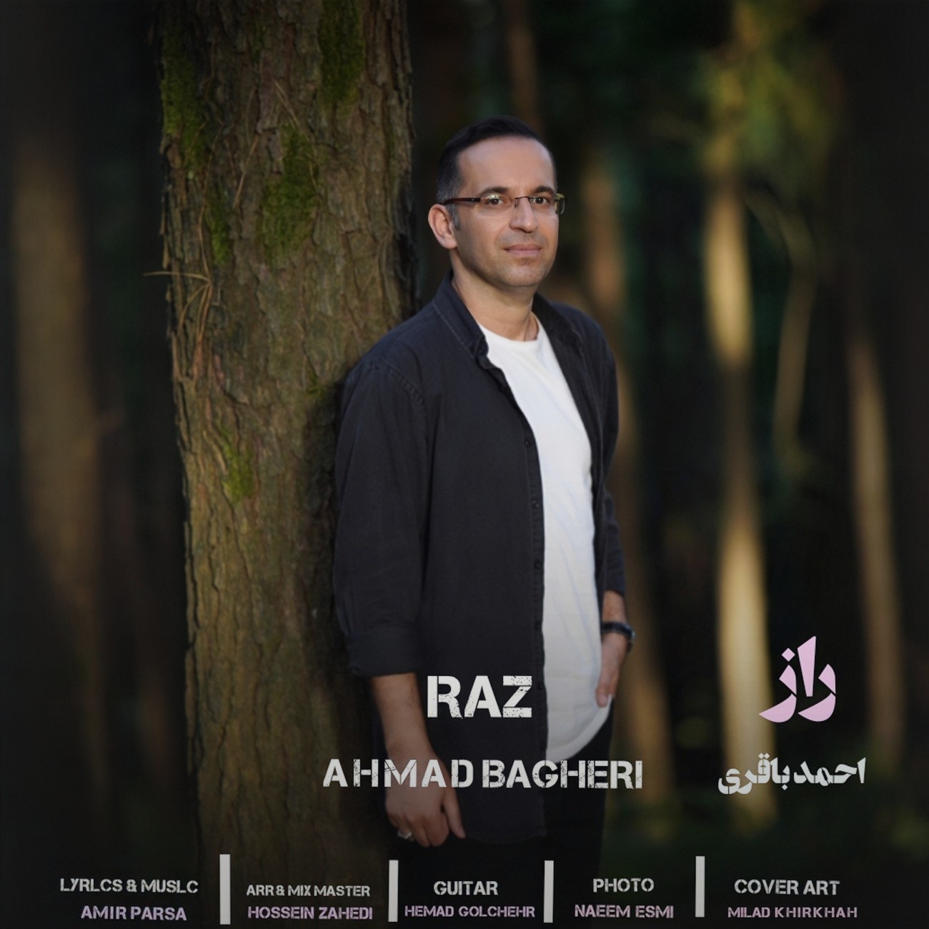 تصویر کاور آهنگ راز با صدای احمد باقری