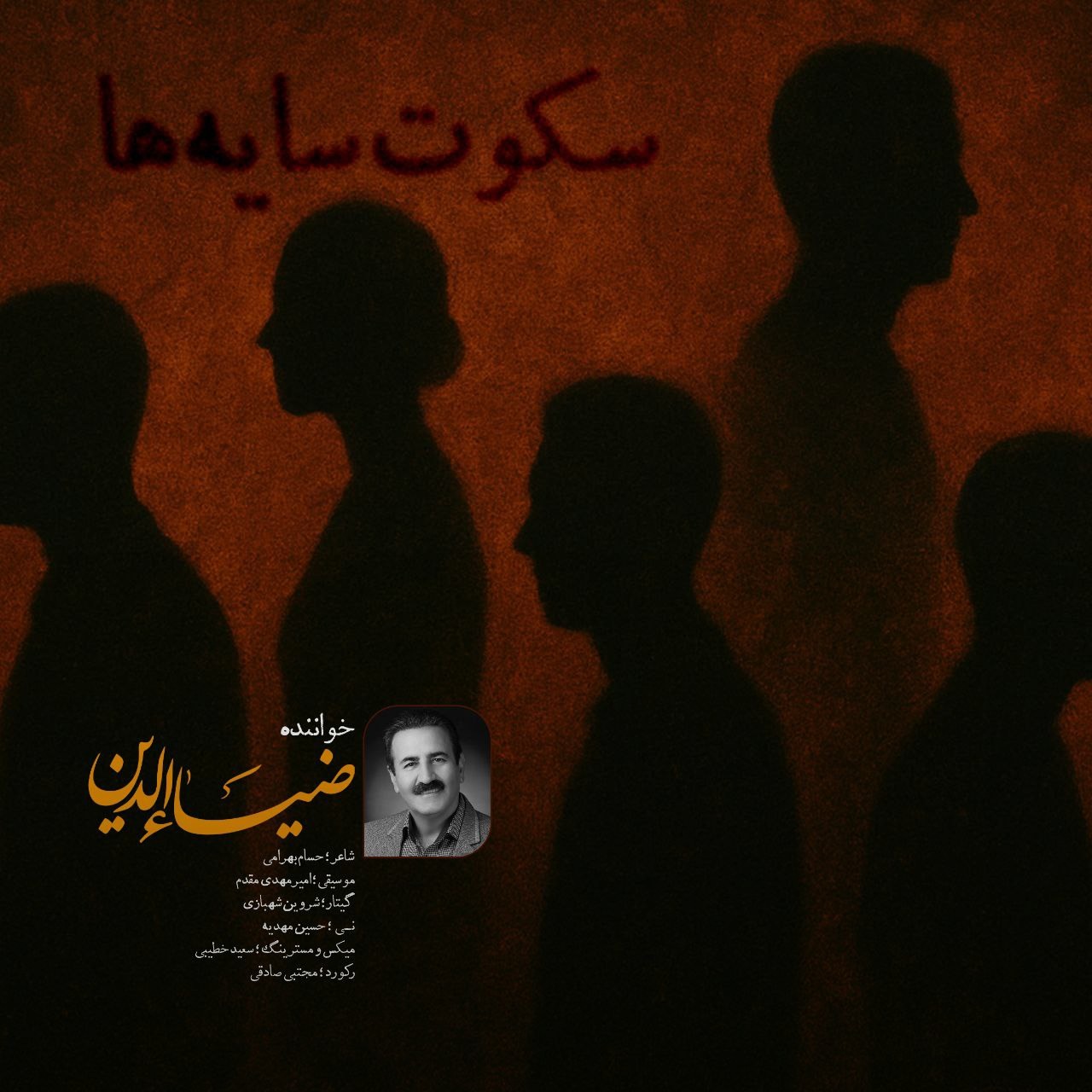 تصویر کاور آهنگ سکوت سایه ها با صدای ضیاءالدین