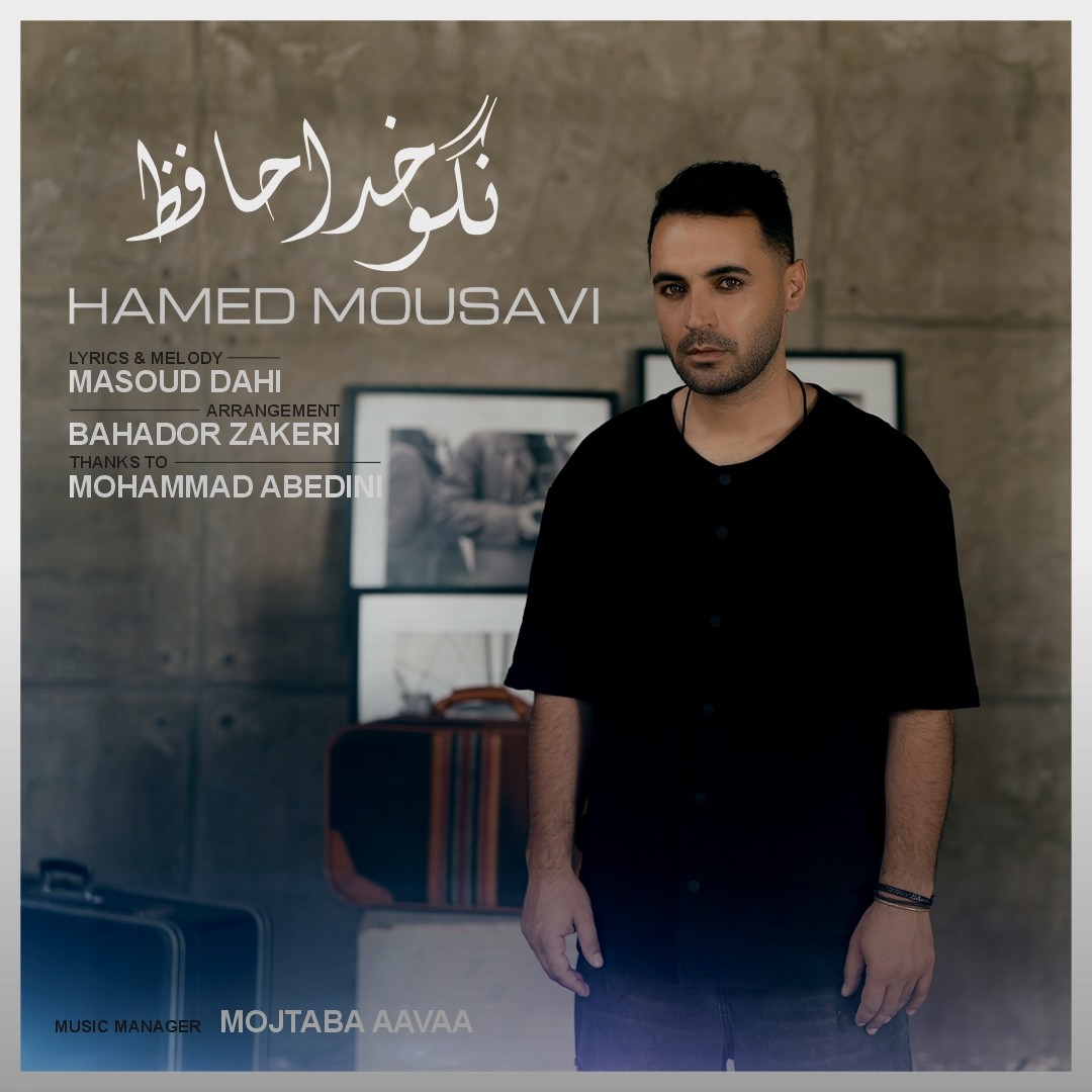 تصویر کاور آهنگ نگو خداحافظ با صدای حامد موسوی