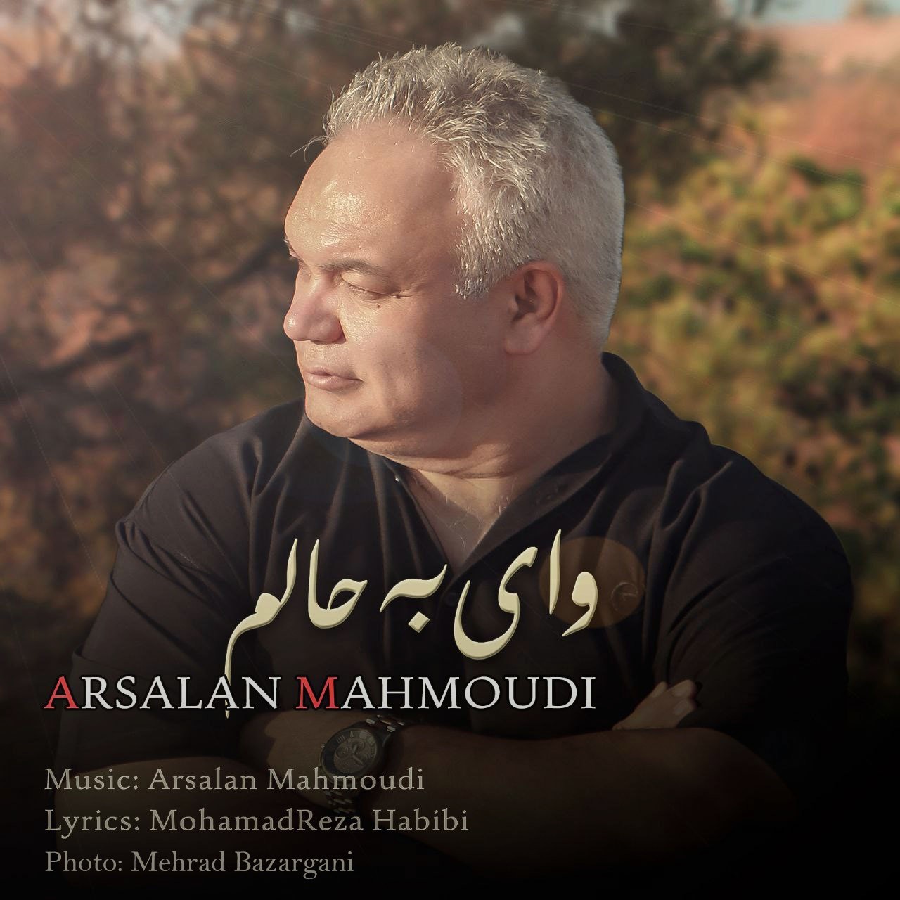 تصویر کاور آهنگ وای به حالم با صدای ارسلان محمودی