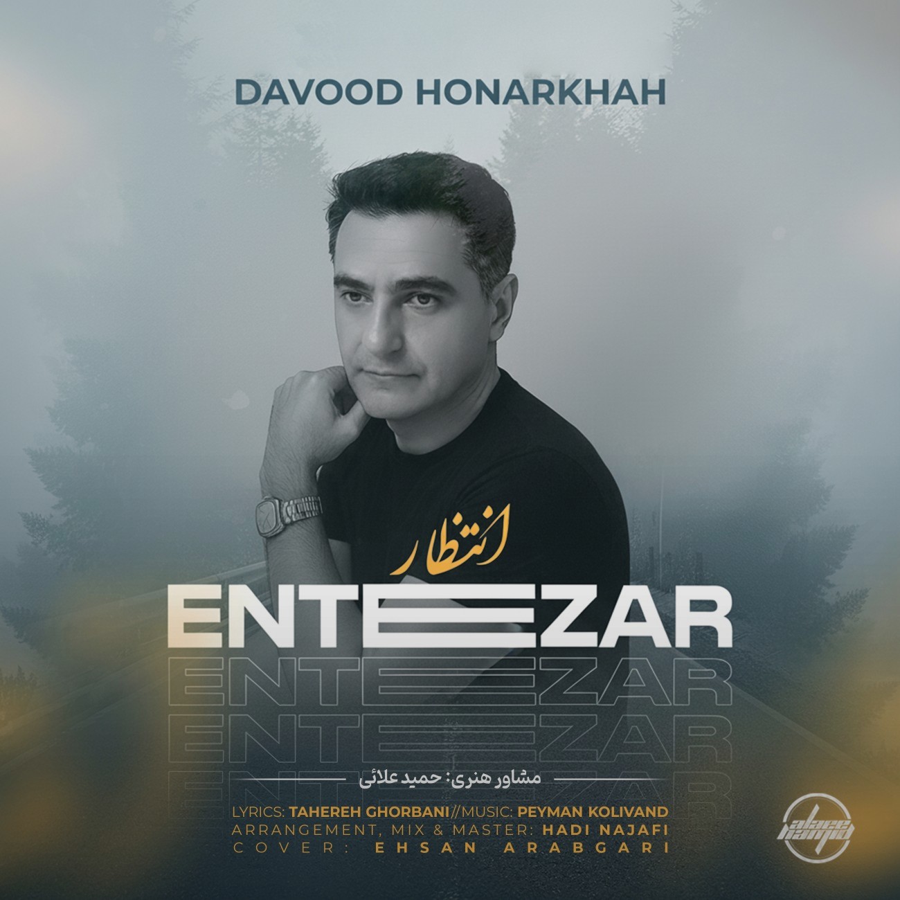تصویر کاور آهنگ انتظار با صدای داود هنر خواه