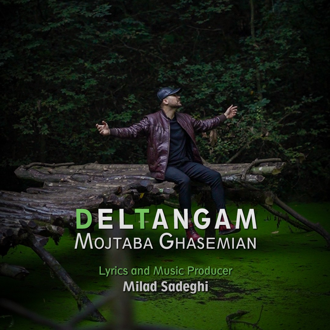 تصویر کاور آهنگ دلتنگم با صدای مجتبی قاسمیان