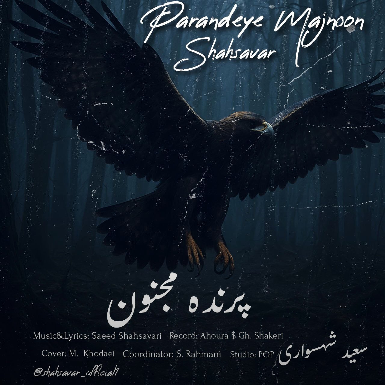 تصویر کاور آهنگ پرنده مجنون با صدای سعید شهسواری (شهسوار)