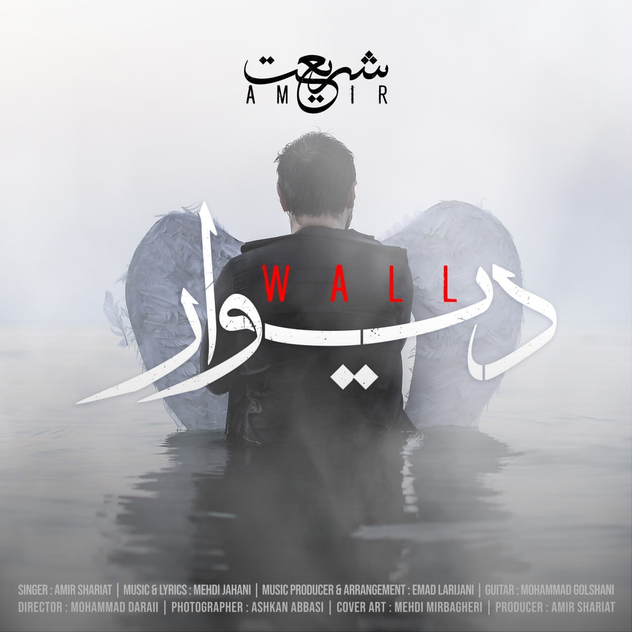 تصویر کاور آهنگ دیوار با صدای امیر شریعت