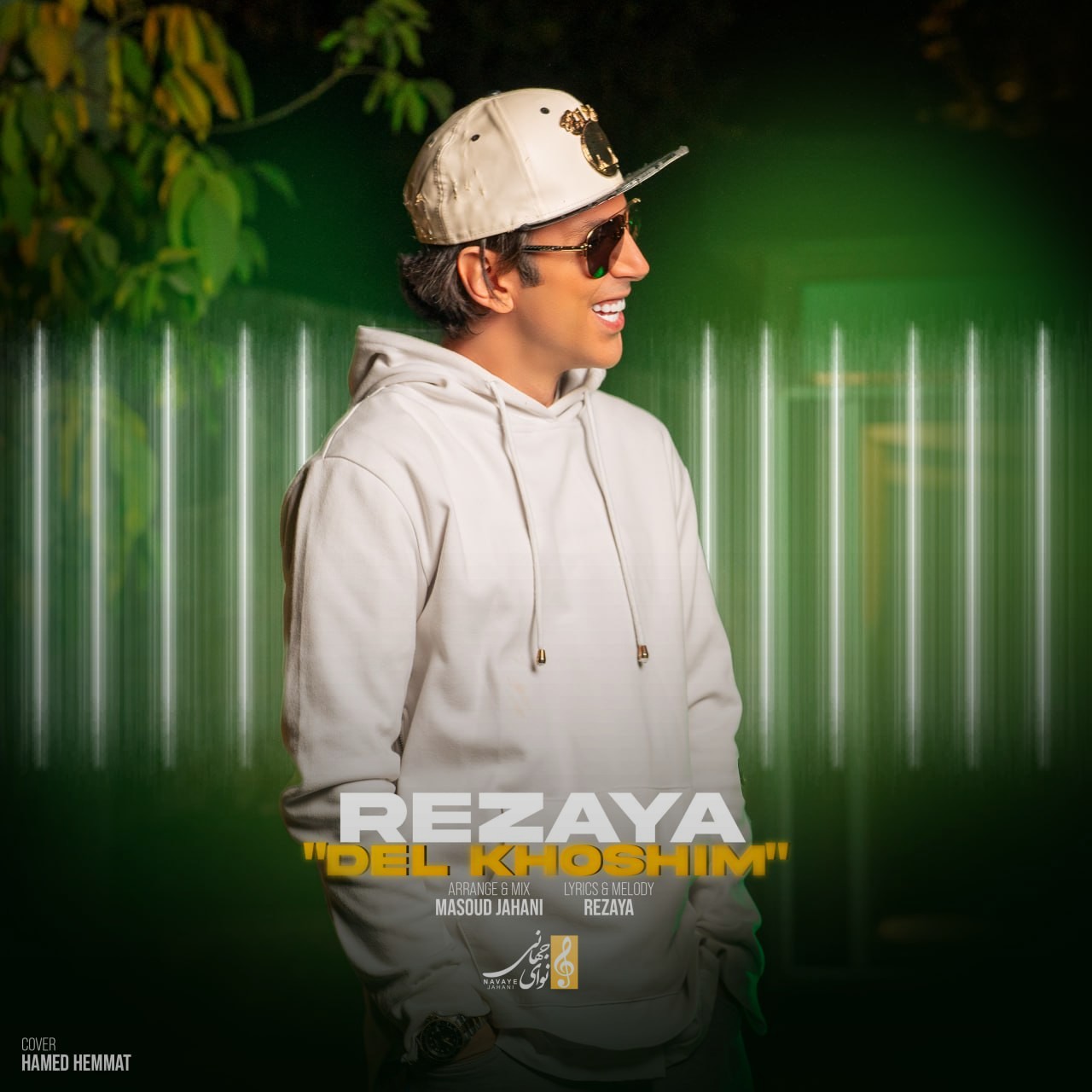 تصویر کاور آهنگ دلخوشیم با صدای رضایا