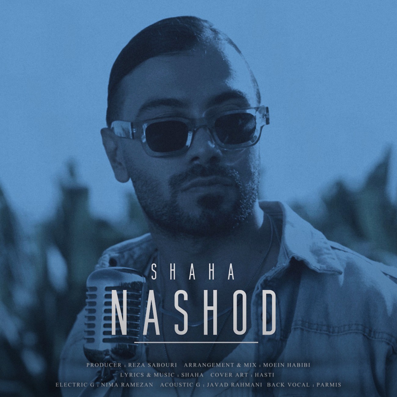 تصویر کاور آهنگ نشد با صدای شاها