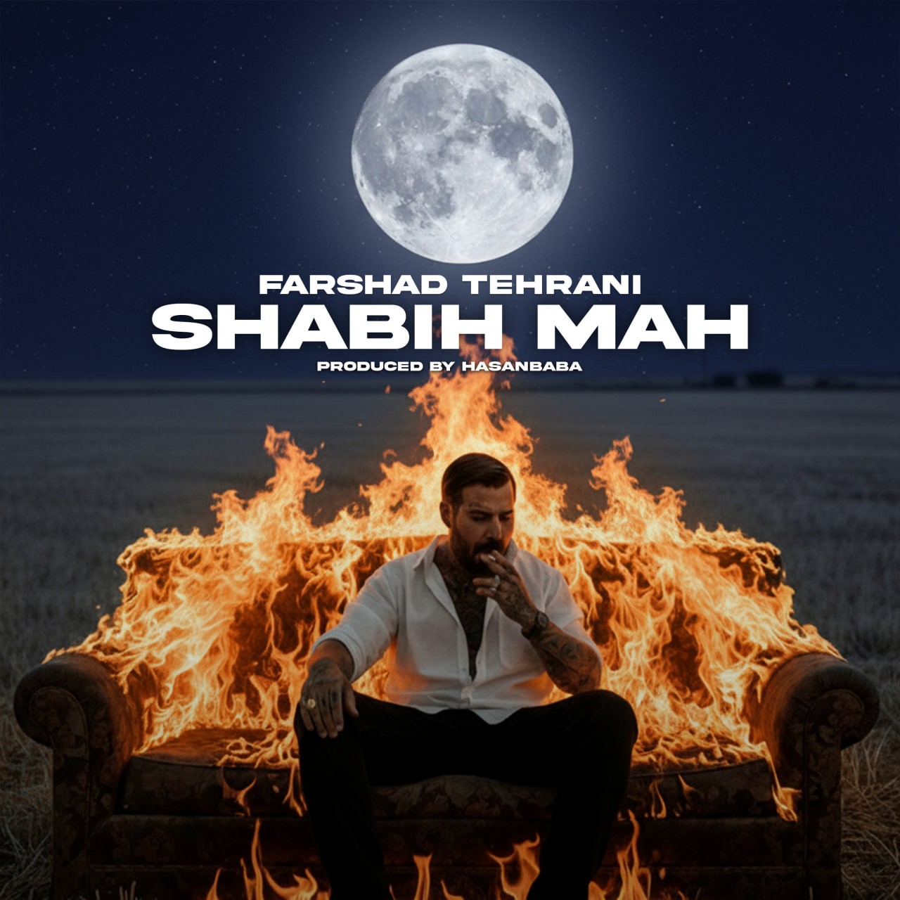 تصویر کاور آهنگ شبیه ماه با صدای فرشاد تهرانی