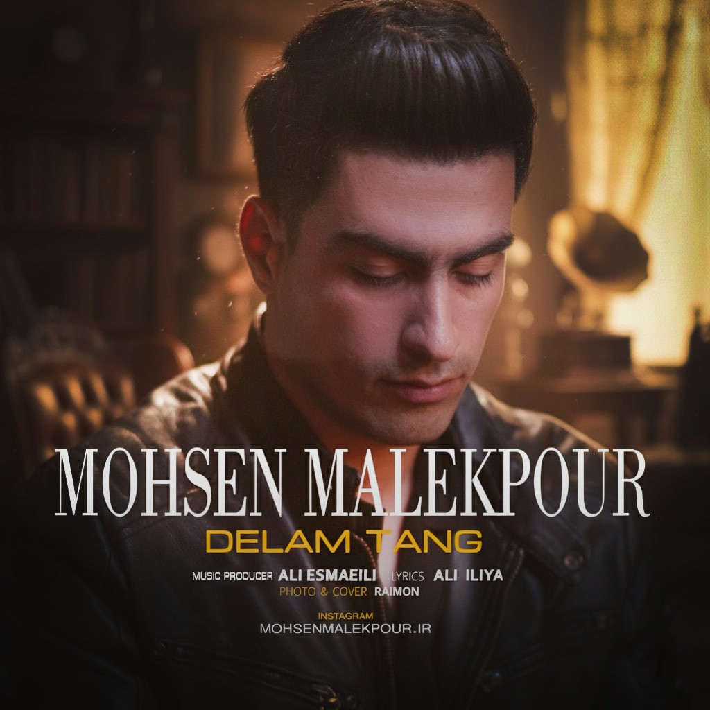 تصویر کاور آهنگ دلم تنگ با صدای محسن ملک پور