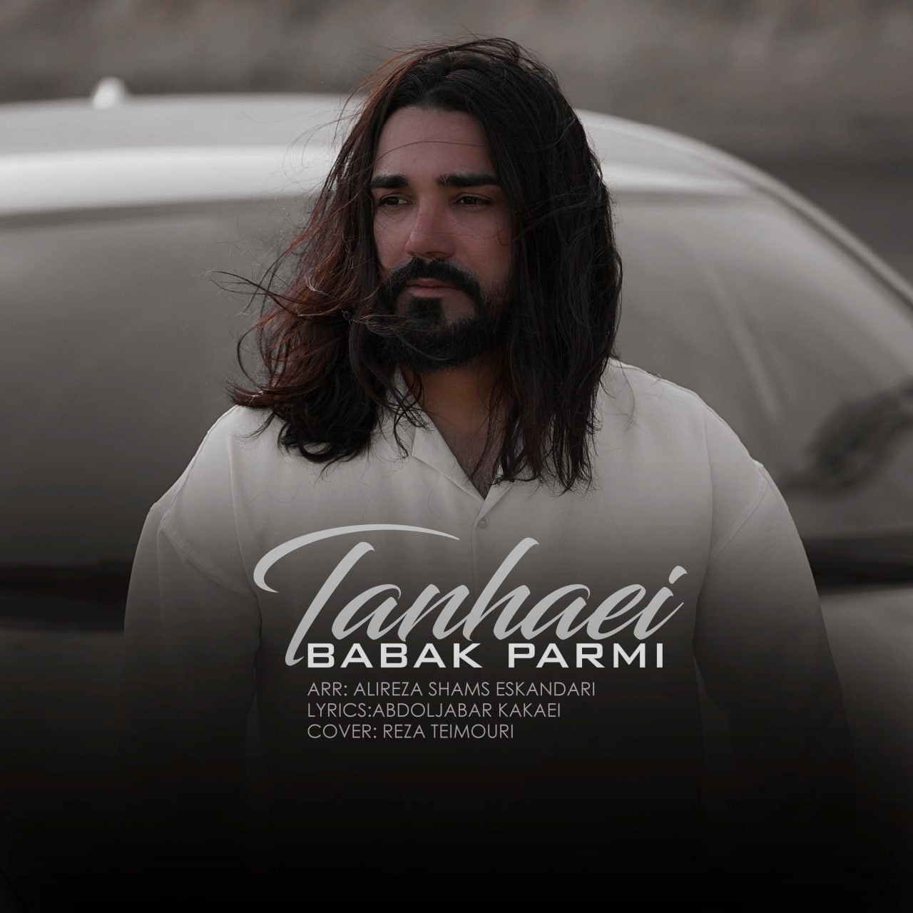 تصویر کاور آهنگ تنهایی با صدای بابک پرمی