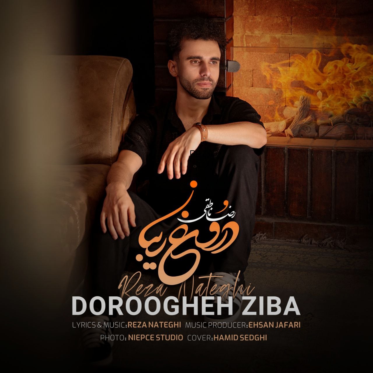 تصویر کاور آهنگ دروغ زیبا با صدای رضا ناطقی