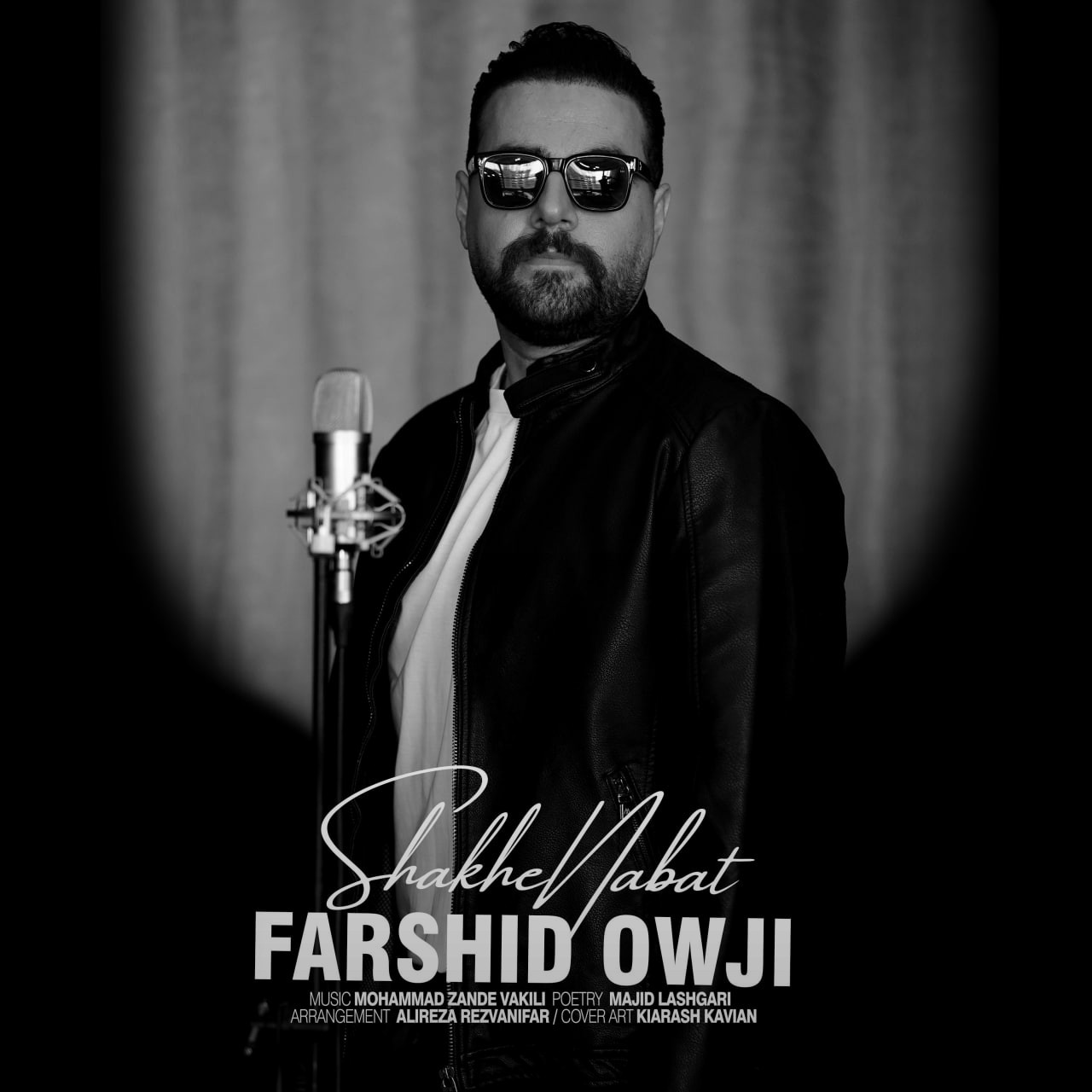 تصویر کاور آهنگ شاخه نبات با صدای فرشید اوجی