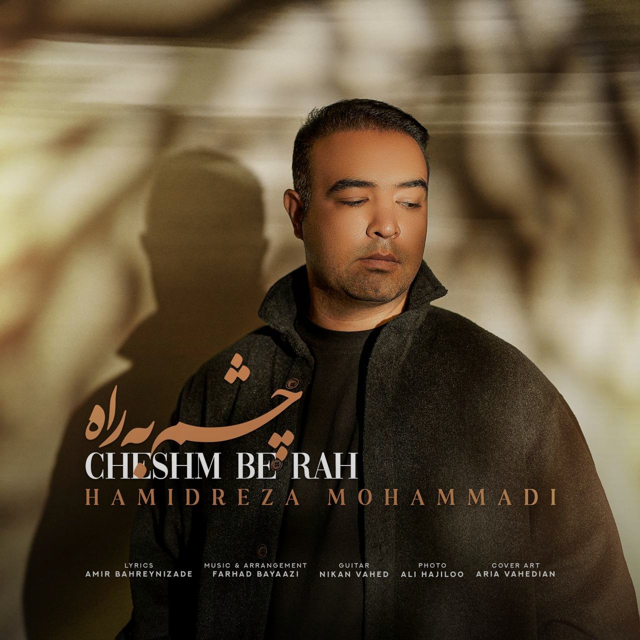 تصویر کاور آهنگ چشم به راه با صدای حمیدرضا محمدی