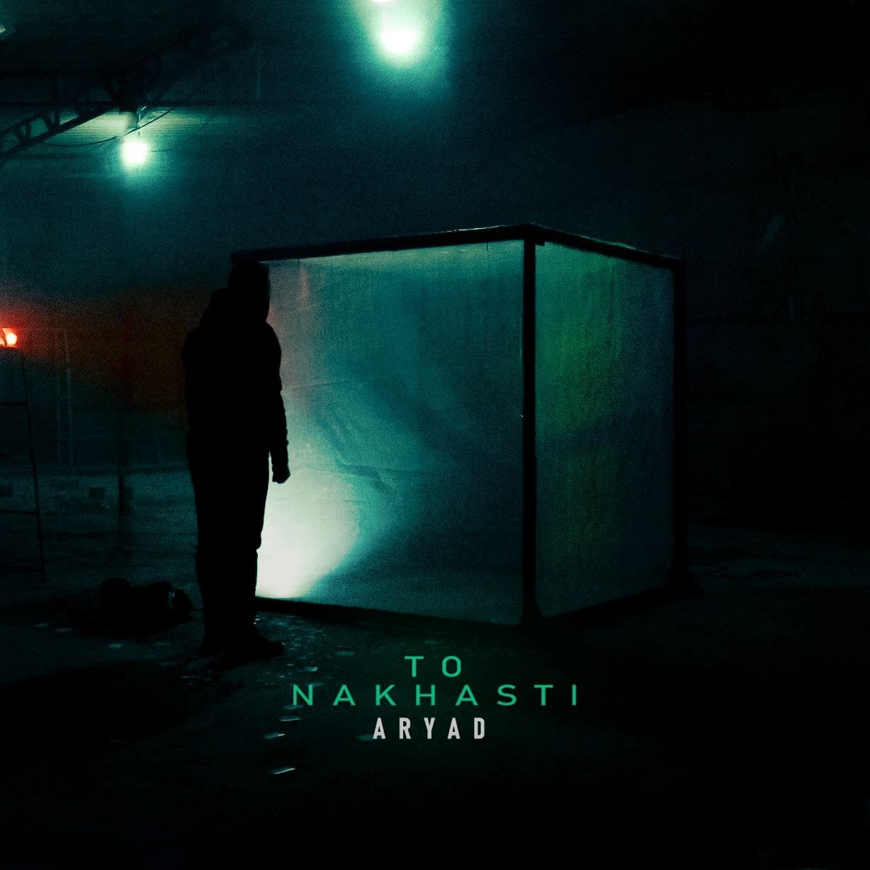 تصویر کاور آهنگ تو نخواستی با صدای آریاد