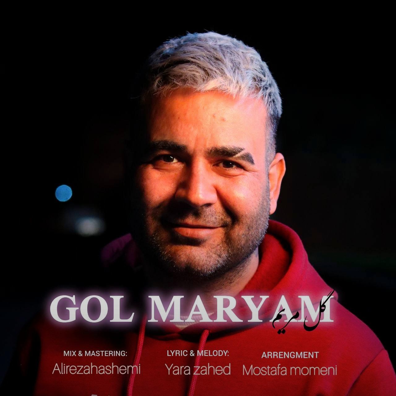 تصویر کاور آهنگ گل مریم با صدای مصطفی تفتیش