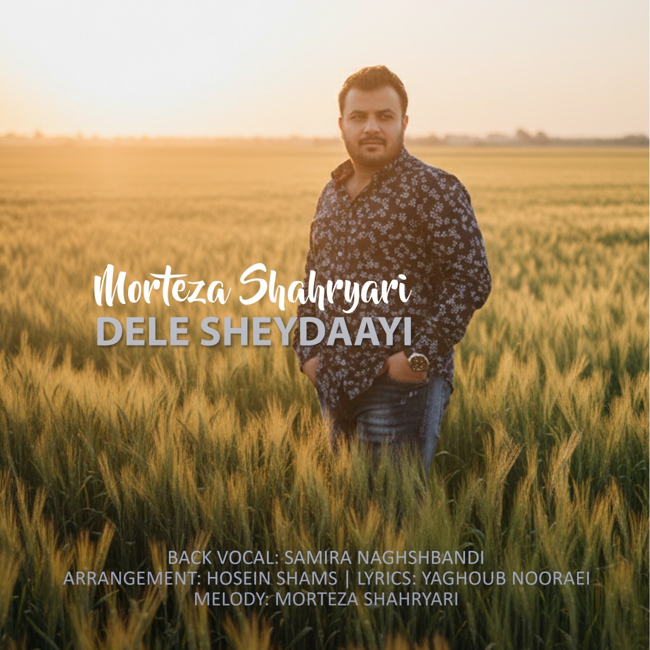 تصویر کاور آهنگ دل شیدایی با صدای مرتضی شهریاری