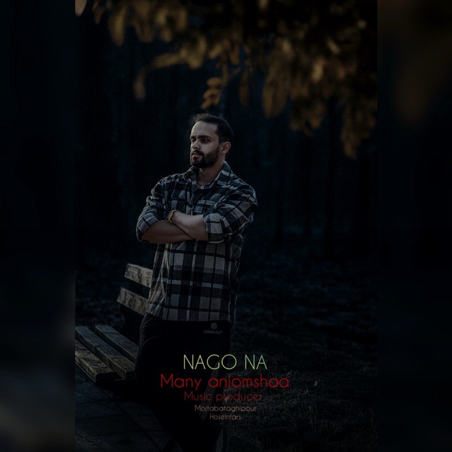 تصویر کاور آهنگ نگو نه با صدای مانی انجم شعاع