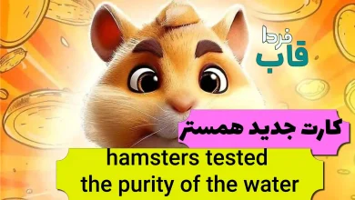 hamsters tested the purity of the water