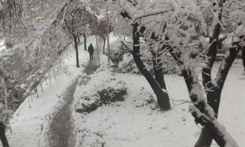 برف یزد امروز سه شنبه 26 تیر همه را شگفت زده کرد برف یزد امروز سه شنبه 26 تیر همه را شگفت زده کرد