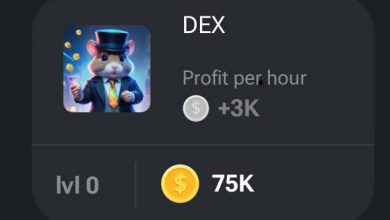 جدول پروفیت و سکه کارت DEX در همستر کمبات