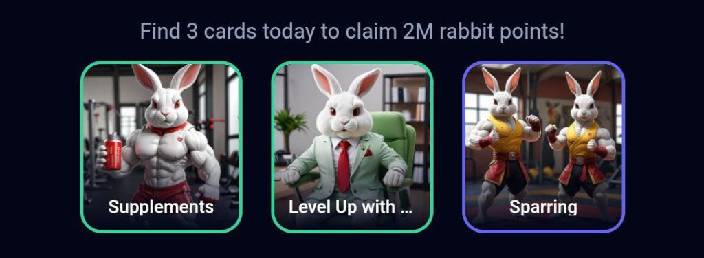 جواب کارت های راکی رابیت یا خرگوش امروز یکشنبه 24 تیر