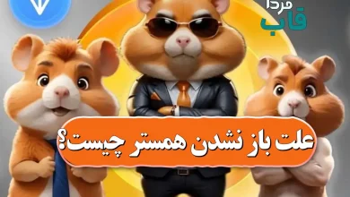 علت اختلال و قطعی همستر امروز سه شنبه 26 تیر چیست؟ علت اختلال و قطعی همستر امروز سه شنبه 26 تیر چیست؟