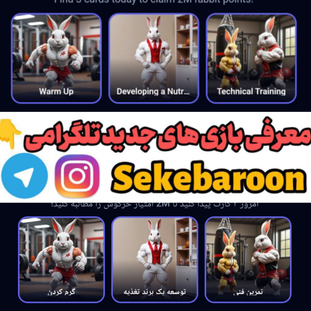 کارت های بازی راکی رابیت خرگوش امروز 17 مرداد 1403