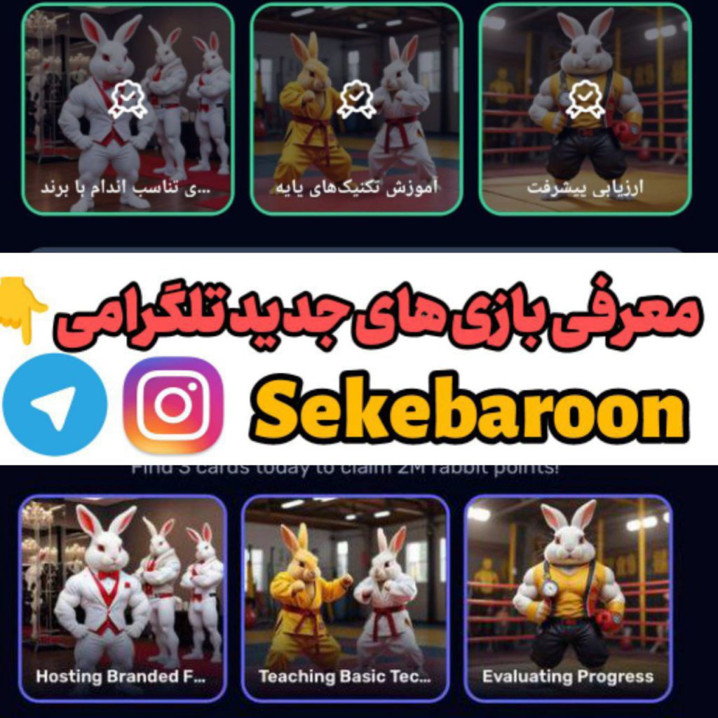 کارت های بازی راکی رابیت خرگوش امروز 18 مرداد 1403