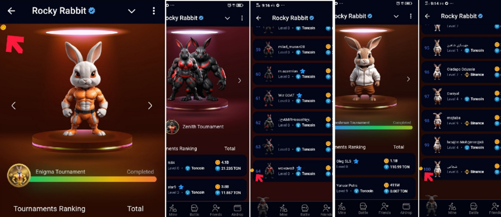 Rocky Rabbit Easter Eggs 19 August 2024