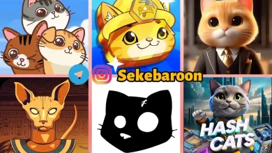 با این 6 بازی گربه در تلگرام، میلیونی سکه کسب کنید با این 6 بازی گربه در تلگرام، میلیونی سکه کسب کنید