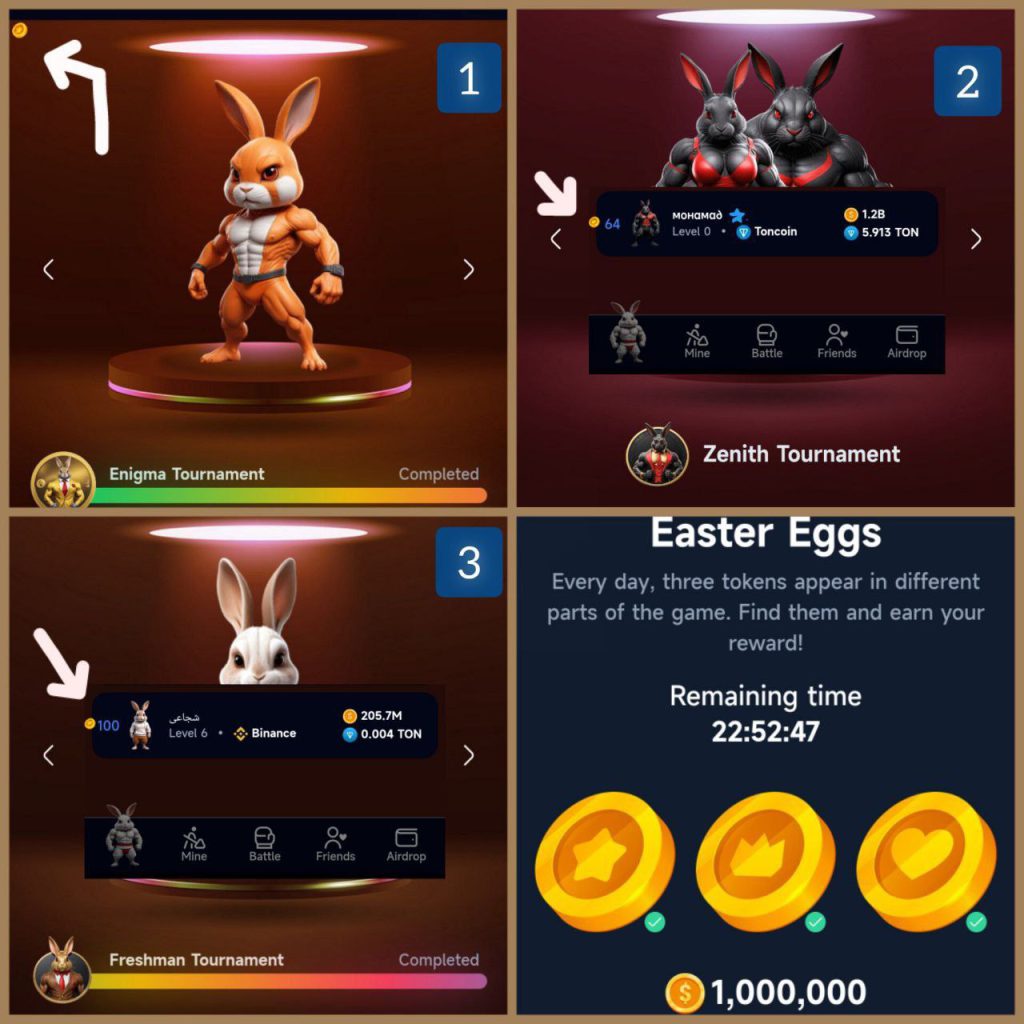 جواب easter eggs راکی رابیت امروز دوشنبه 29 مرداد سه کارت easter eggs راکی رابیت امروز دوشنبه 29 مرداد