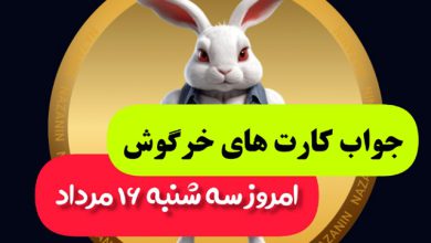 کارت های بازی راکی رابیت خرگوش امروز 16 مرداد 1403