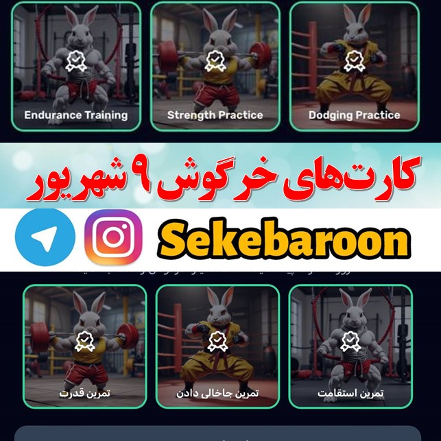 کارت های راکی رابیت خرگوش امروز جمعه 9 شهریور کارت های راکی رابیت خرگوش امروز جمعه 9 شهریور