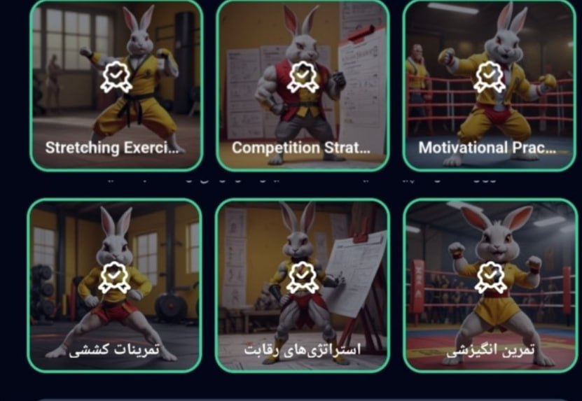 کارت های بازی راکی رابیت خرگوش امروز 14 مرداد 1403