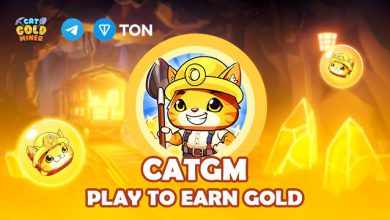 کد مورس Cat Gold Miner امروز