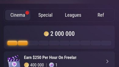 Earn $250 Per Hour On Freelance