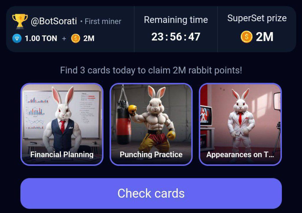 کارت های راکی رابیت خرگوش امروز شنبه 24 شهریور