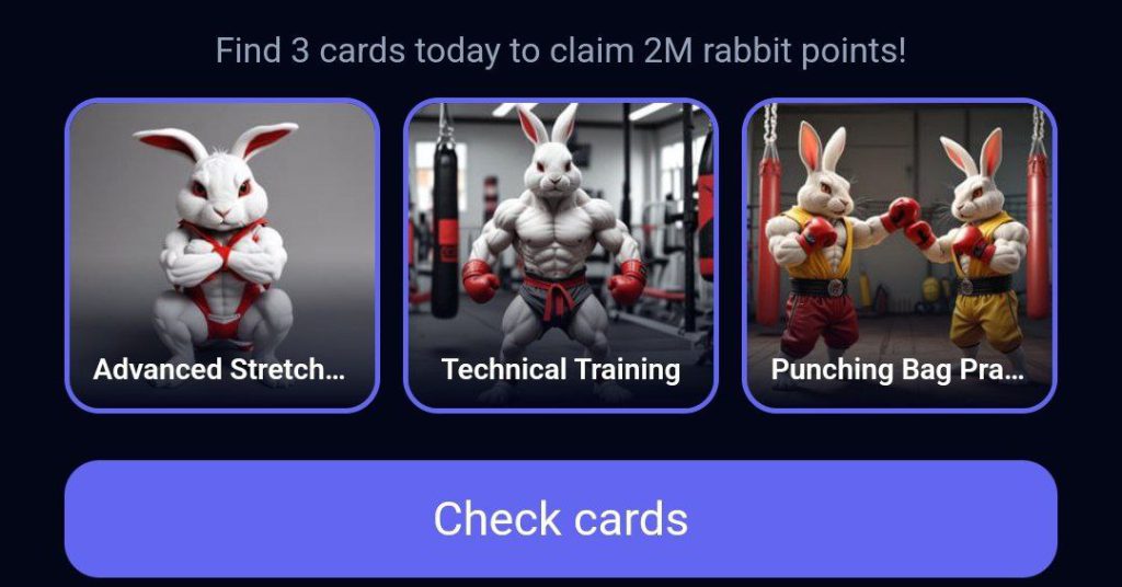 کارت های راکی رابیت خرگوش امروز یکشنبه 25 شهریور