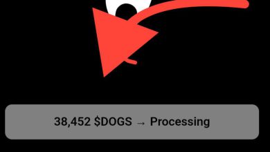 معنی processing در داگز چیست؟ معنی processing در داگز چیست؟