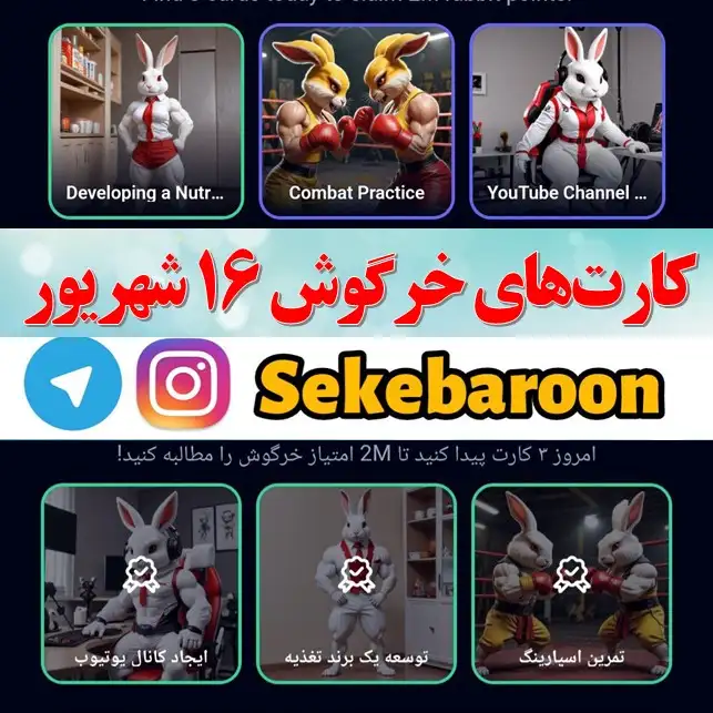 کارت های راکی رابیت خرگوش امروز جمعه 16 شهریور کارت های راکی رابیت خرگوش امروز جمعه 16 شهریور