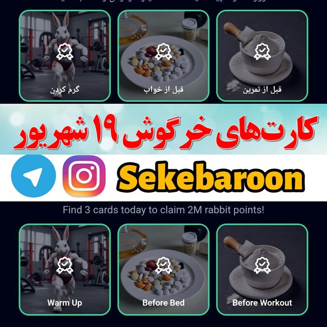 کارت های راکی رابیت خرگوش امروز دوشنبه 19 شهریور کارت های راکی رابیت خرگوش امروز دوشنبه 19 شهریور