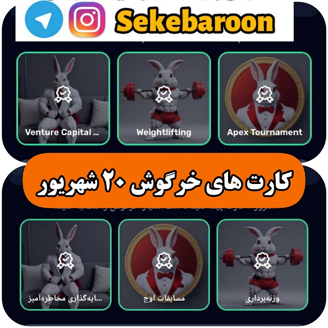 کارت های راکی رابیت خرگوش امروز سه شنبه 20 شهریور کارت های راکی رابیت خرگوش امروز سه شنبه 20 شهریور