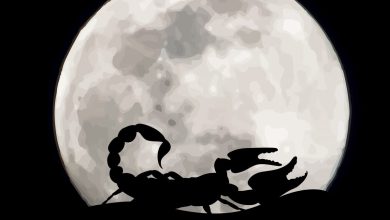 روزهای قمر در عقرب آذر 1403 چه روزی است؟