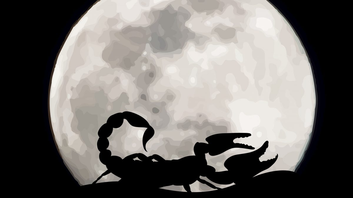 روزهای قمر در عقرب آذر 1403 چه روزی است؟ روزهای قمر در عقرب آذر 1403 چه روزی است؟