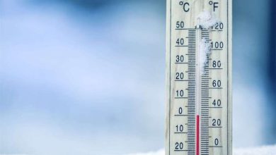 آخرین پیش بینی وضعیت آب و هوا بوشهر فردا چهارشنبه ۱۲ دی ماه ۱۴۰۳ | هواشناسی بوشهر در روزهای آینده