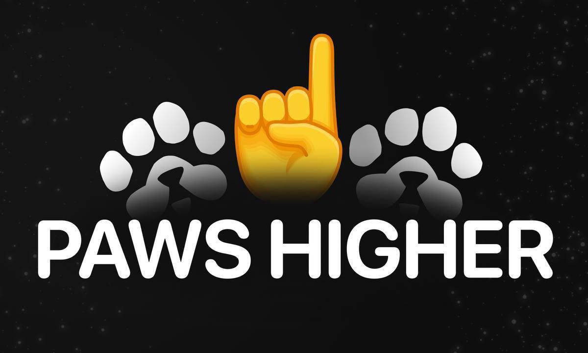 روش حل معمای G در پاوز چیست؟ روش حل معمای G در پاوز