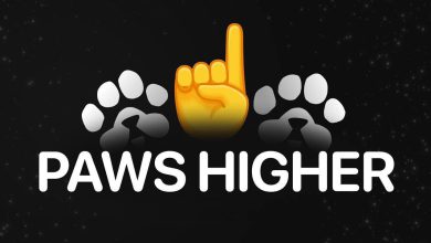 روش حل معمای G در پاوز چیست؟ روش حل معمای G در پاوز