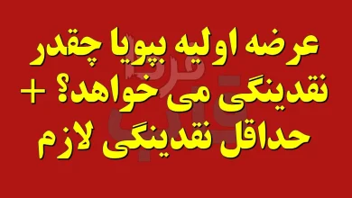 عرضه اولیه بپویا چقدر نقدینگی می خواهد؟ + حداقل نقدینگی لازم عرضه اولیه بپویا چقدر نقدینگی می خواهد؟ + حداقل نقدینگی لازم