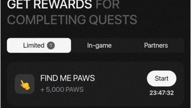 تسک جدید پاوز Find me Paws چگونه است؟ Find me Paws